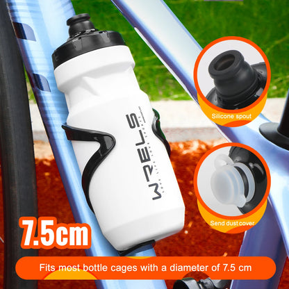 Sport Water Bottle