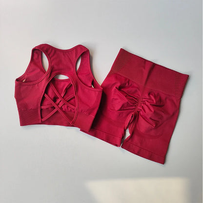 Sport Bra + High Waist Sports Shorts